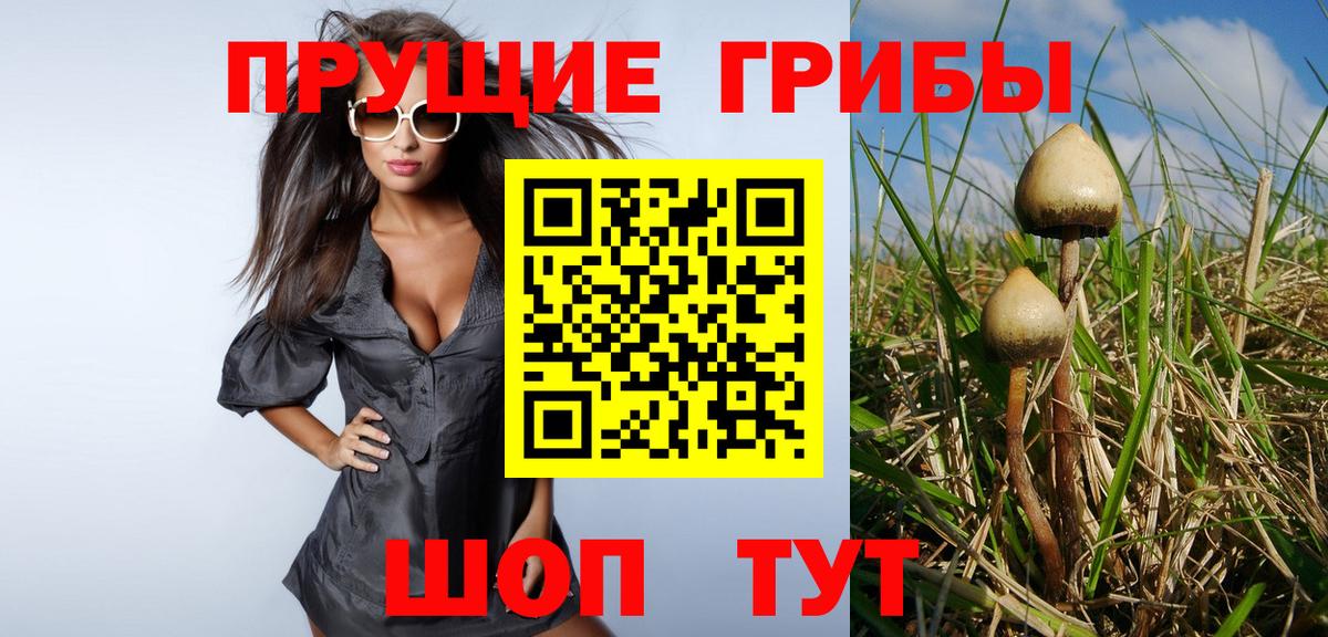 Обь  Галлюциногенные грибы мухоморы  Вход с VPN  Псилоцибиновые грибы мухоморы 
